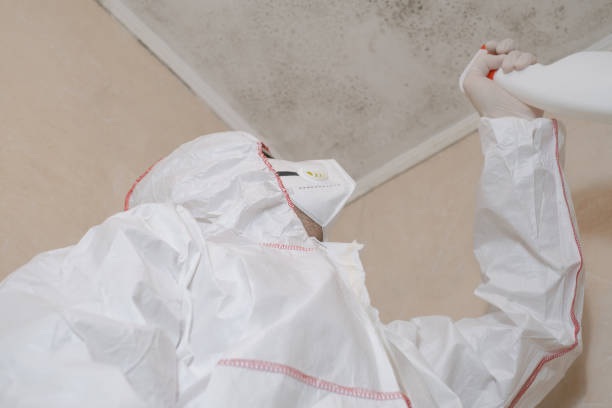 Best Mold Removal Specialists  in , NC